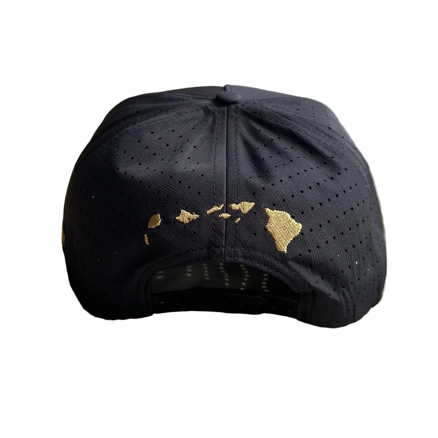 Red and Gold Logo Hat